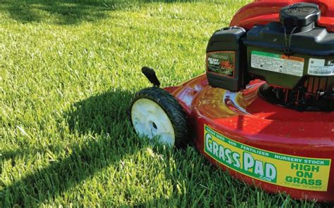 What is the Best Mowing Height for Your Lawn? - Grass Pad