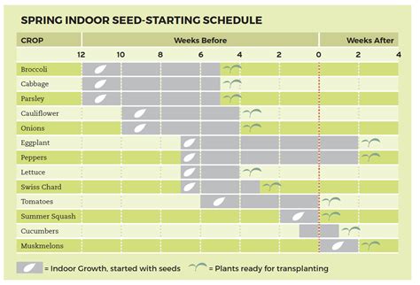 Planting Chart Cheat Sheets - Square Foot Gardening