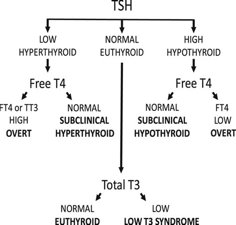 Thyroid Dysfunction in Heart Failure and Cardiovascular Outcomes | Circulation: Heart Failure