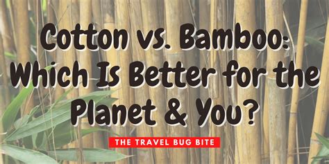 Cotton vs. Bamboo: Which Is Better for the Planet & You?