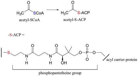 12.3: Thioesters - Chemistry LibreTexts