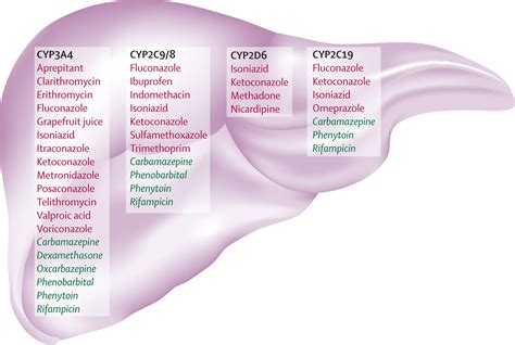 Drug interactions in childhood cancer - The Lancet Oncology