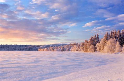 Ten facts about Lapland that you may not have known