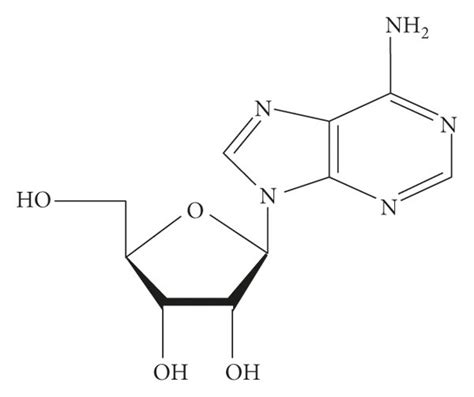 Chemical structure of adenosine. | Download Scientific Diagram