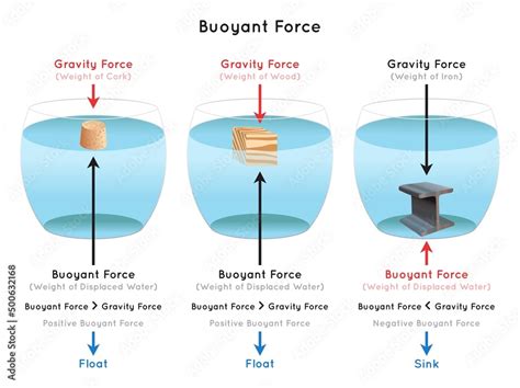 Buoyant Force Infographic diagram examples of cork wood iron showing ...