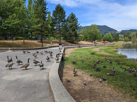 7 Kid-Friendly Parks In Coquitlam - In Love With BC