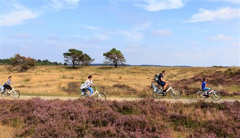 National Park De Hoge Veluwe - find our top tips here - Holland.com