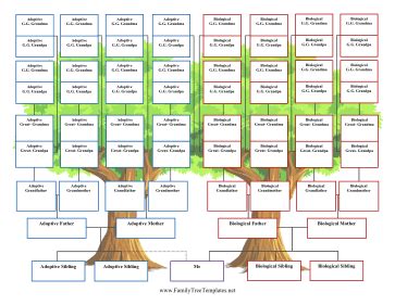 5-Generation Adoption Family Tree Template