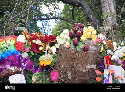 Floral tributes to Queen Elizabeth II in Green Park, London UK Sep 2022 Stock Photo - Alamy