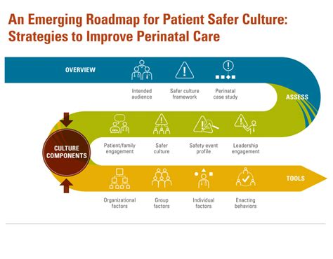 Roadmap Components | McGovern Medical School