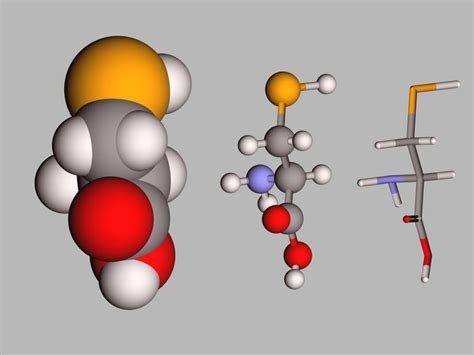 Collection of 21 alpha amino acids L- stereoisomers 3D model | CGTrader