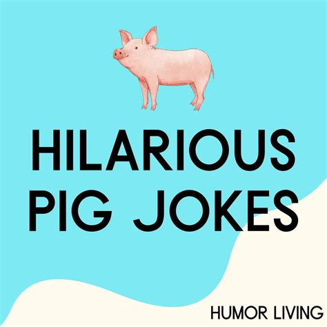 80+ Hilarious Pig Jokes to Make You Oink With Laughter - Humor Living