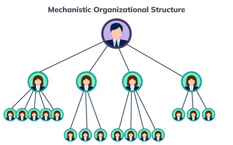 Thoroughly described mechanistic organizational structure