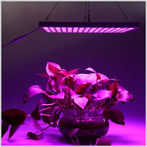 Heat Lamp For Indoor Plants - Lamps : Home Decorating Ideas #4lkKVEzwv1