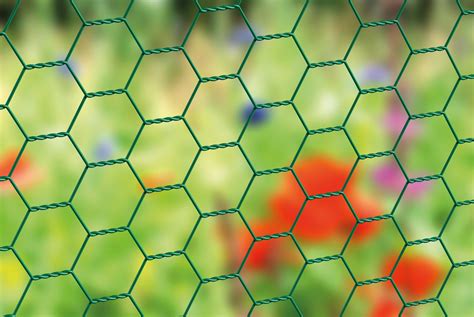 Hexagonal Wire Netting – CHINA FENCE MESH