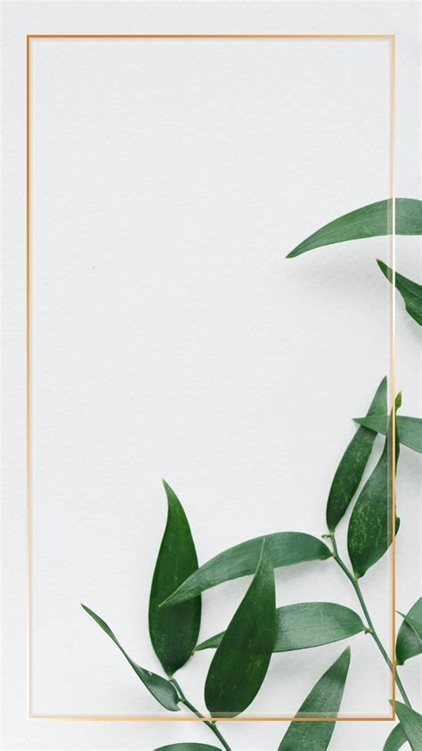 Gold frame over green leaves on a white wall | premium image by rawpixel.com / marinemynt ...