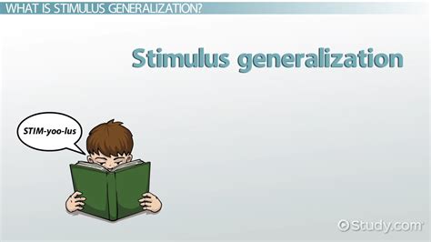 Stimulus Generalization | Definition & Examples - Lesson | Study.com