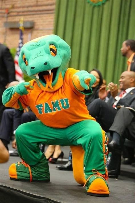 famu mascot - Yahoo Image Search Results Dream College, Dream School, Universities In America ...