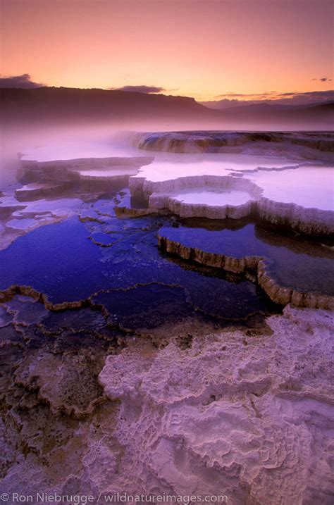 Mammoth Terraces | Yellowstone National Park, Wyoming. | Photos by Ron Niebrugge