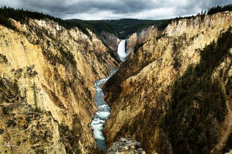 Grand Canyon of Yellowstone - Castle Nature Art