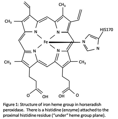 Horseradish Peroxidase - Chemistry LibreTexts