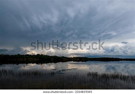 Florida Rain Stock Photos - 7,594 Images | Shutterstock