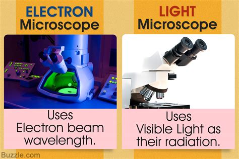 Compound Light Microscope Light Microscope Electron Microscope | The ...