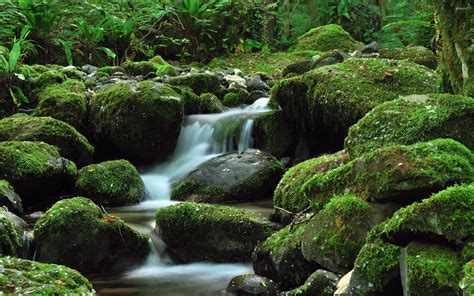 Water falling through the mossy rock wallpaper - Nature wallpapers - #52644