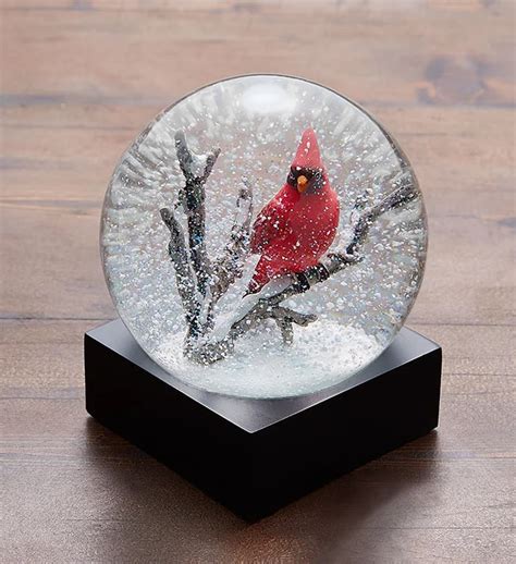 Cardinal Snow Globe by CoolSnowGlobes from 1-800-FLOWERS.COM | Christmas snow globes, Snow globe ...