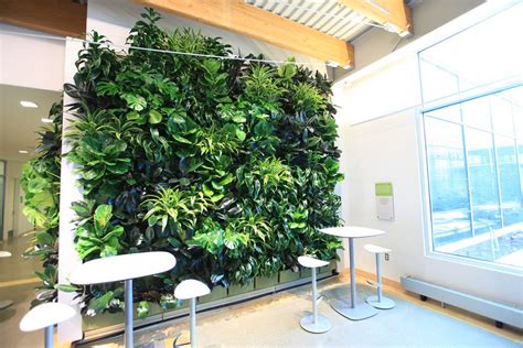 Indoor Living Walls - LiveWall Vertical Plant Wall System