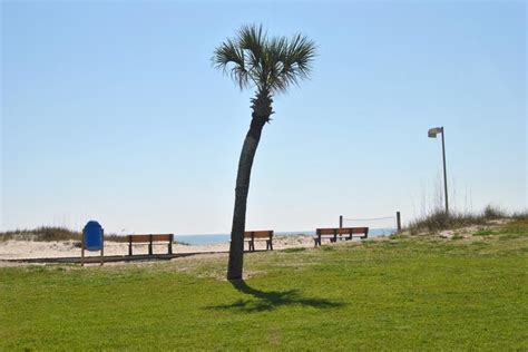 Dog Friendly Activities in Fernandina Beach, FL - BringFido