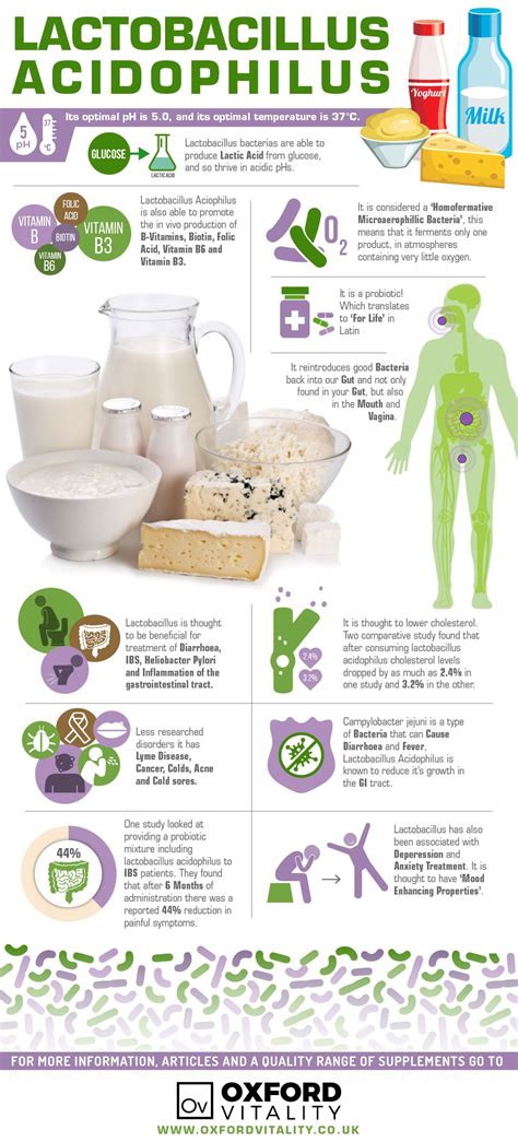 Lactobacillus Acidophilus , Lactobacillus Acidophilus Supplements , Lactobacillus Acidophilus ...