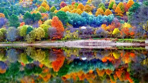 Autumn Scenery Wallpaper,HD Nature Wallpapers,4k Wallpapers,Images,Backgrounds,Photos and Pictures