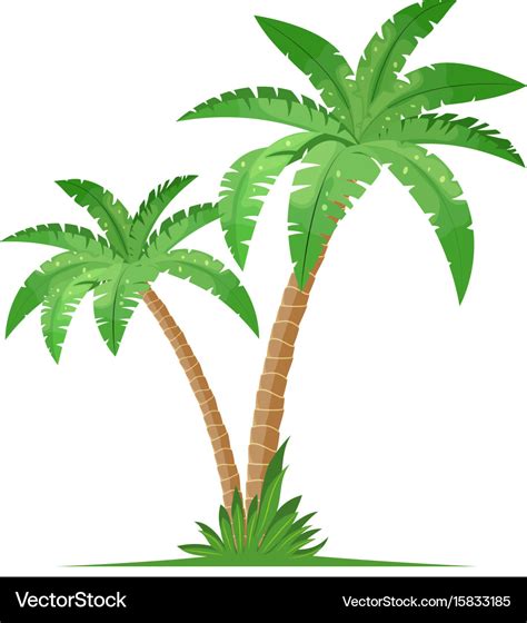 A palm tree Royalty Free Vector Image - VectorStock