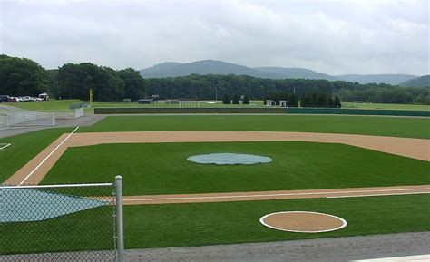 Synthetic Turf for Baseball & Batting Cages | Synthetic Turf International