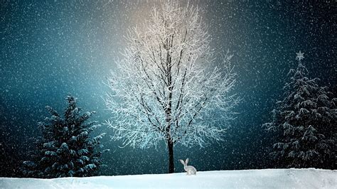 Winter Snow 4K Wallpapers - Top Free Winter Snow 4K Backgrounds - WallpaperAccess