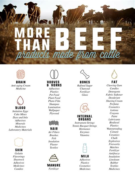 Products made from cattle | Farm facts, Cattle, Beef month