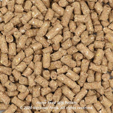 Horse Feed 16% Pellets - National Feed and Flour