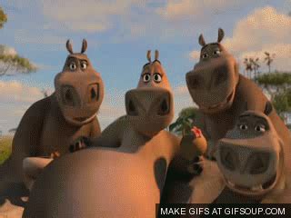 Madagascar GIFs - Find & Share on GIPHY