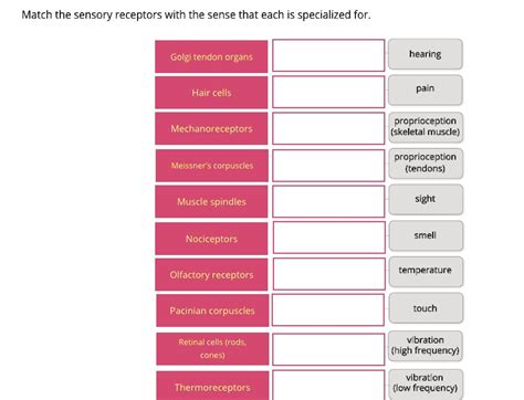 SOLVED: Match the sensory receptors with the sense that each is specialized for: - Hearing: Hair ...