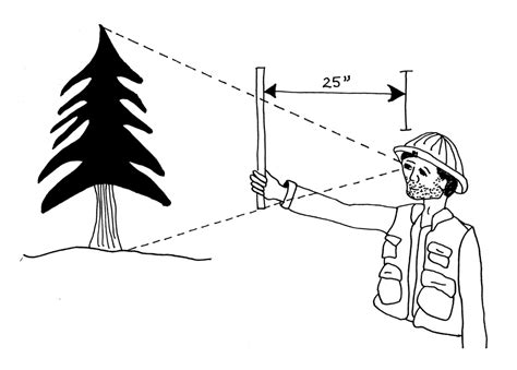 2.6 Instruments Used for Measuring Tree Height – Forest Measurements