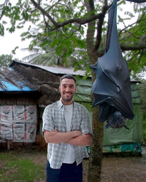 Crazy Creatures - The World’s Largest Bat Is Bigger Than You