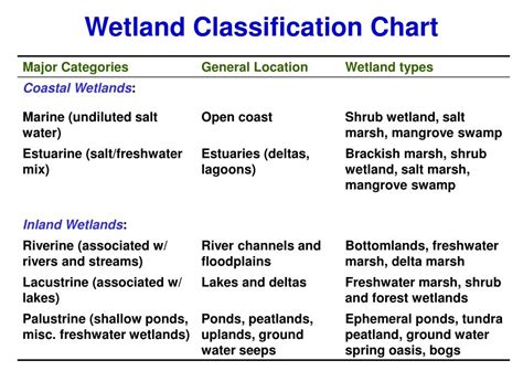 Wetland Classification Chart