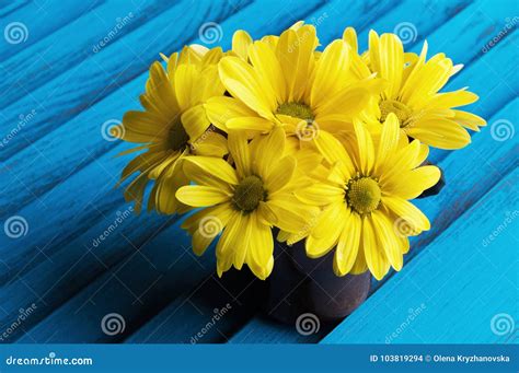 Bouquet of yellow daisies stock photo. Image of bouquet - 103819294