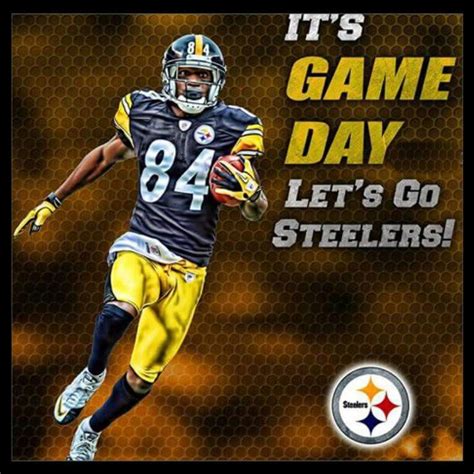 GAME DAY SUNDAY 8/23/2015 | Go steelers, Lets go steelers, Steelers country