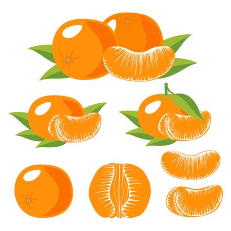 clipart tangerine 20 free Cliparts | Download images on Clipground 2024