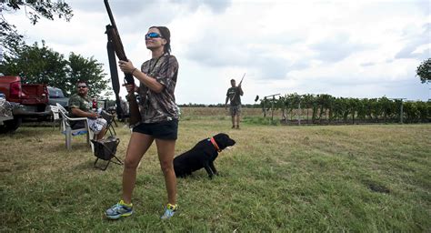 » Dove Hunting Season is Here Andy's Ramblings