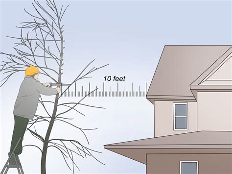 3 Ways to Trap a Possum - wikiHow