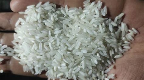 White raw rice, 30 kg at Rs 30/kg in Qaimoh | ID: 2851217431862