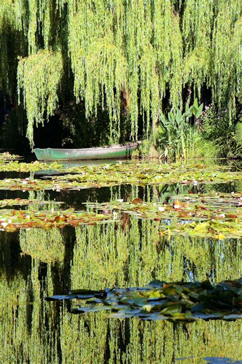 Monet's Garden | Smithsonian Photo Contest | Smithsonian Magazine